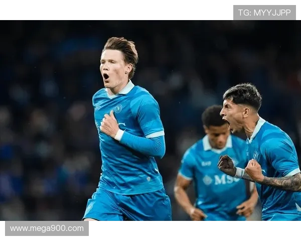 那佛大战麦克托米奈霍伊伦德赫亚